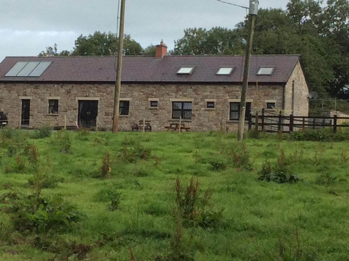 Rathgillen House Villa Nobber Exterior photo